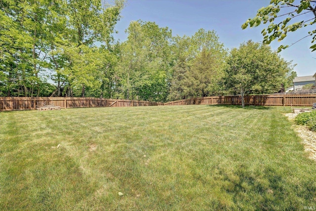 1177 E Marigold Dr, Bloomington, IN 47401 - view of yard