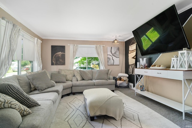living room with carpet floors and crown molding