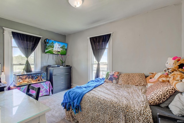 121 Diehl St, Tipton, IN 46072 - bedroom featuring carpet floors