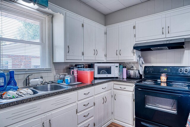1616 N Roosevelt Dr, Evansville, IN 47711 - kitchen featuring black / electric stove, white microwave, under cabinet range hood, and white cabinets