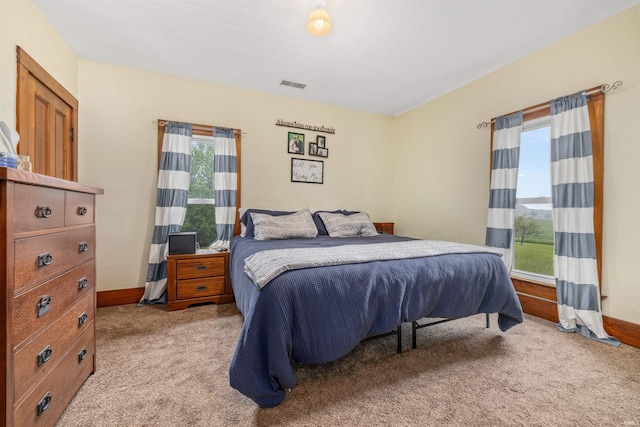 1239 County Road 28th Rd, Corunna, IN 46730 - bedroom with carpet floors and baseboards