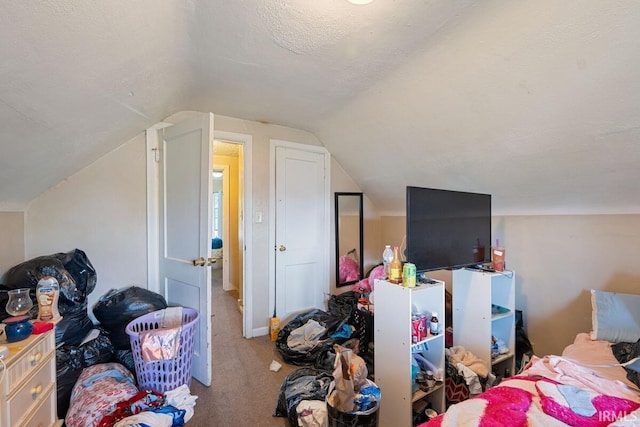 721 S Wellington St, South Bend, IN 46619 - additional living space with carpet, vaulted ceiling, and a textured ceiling