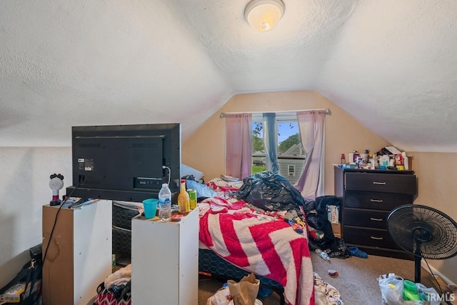 721 S Wellington St, South Bend, IN 46619 - bedroom featuring a textured ceiling, carpet, and vaulted ceiling