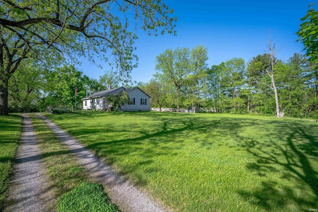 view of green lawn