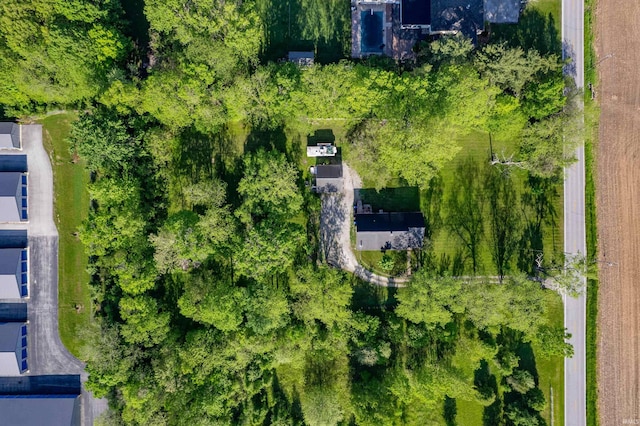 drone / aerial view