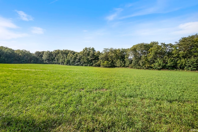 7956 N 225 W, Delphi, IN 46923 - view of green lawn featuring a forest view and a view of rural / pastoral area