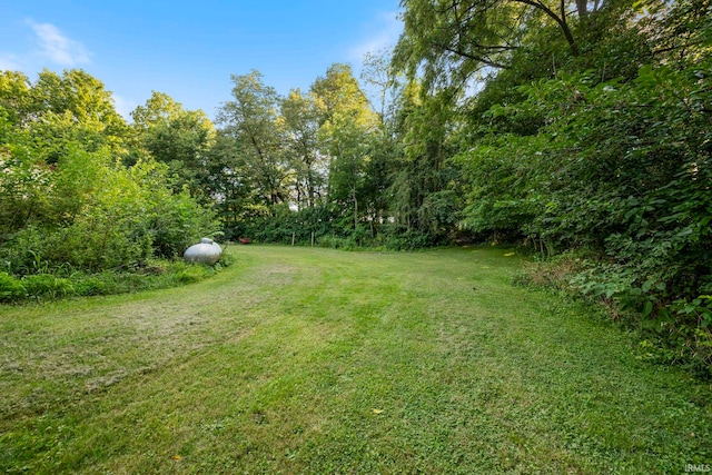 7956 N 225 W, Delphi, IN 46923 - view of green lawn with a wooded view