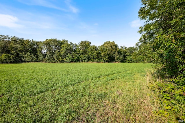 7956 N 225 W, Delphi, IN 46923 - view of grassy yard