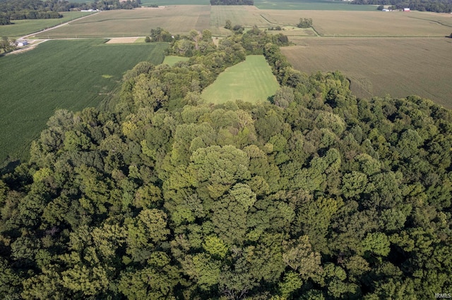 7956 N 225 W, Delphi, IN 46923 - view of property location with rural landscape and a forest