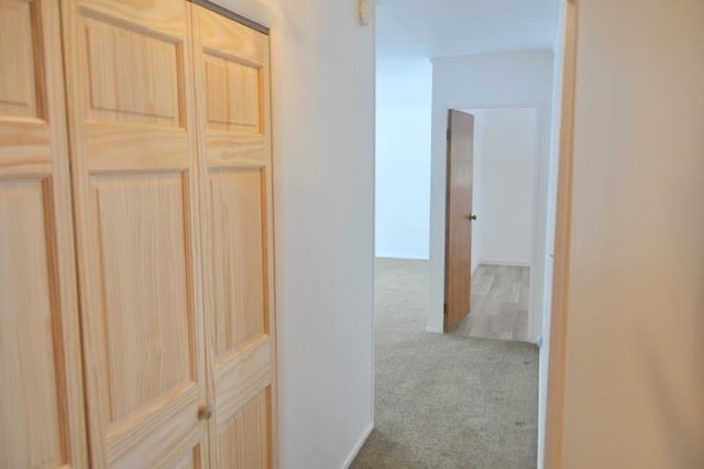 3333 Eastwood Dr, Fort Wayne, IN 46805 - hall featuring carpet flooring