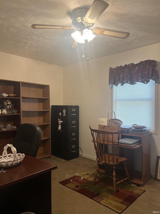 509 E Vincennes St, Orleans, IN 47452 - carpeted office featuring ceiling fan and a textured ceiling