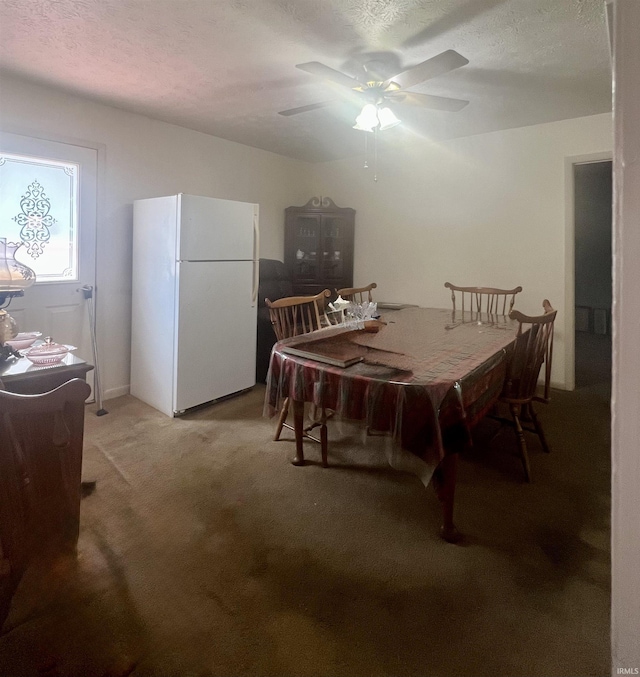 509 E Vincennes St, Orleans, IN 47452 - dining area featuring ceiling fan, light carpet, and a textured ceiling