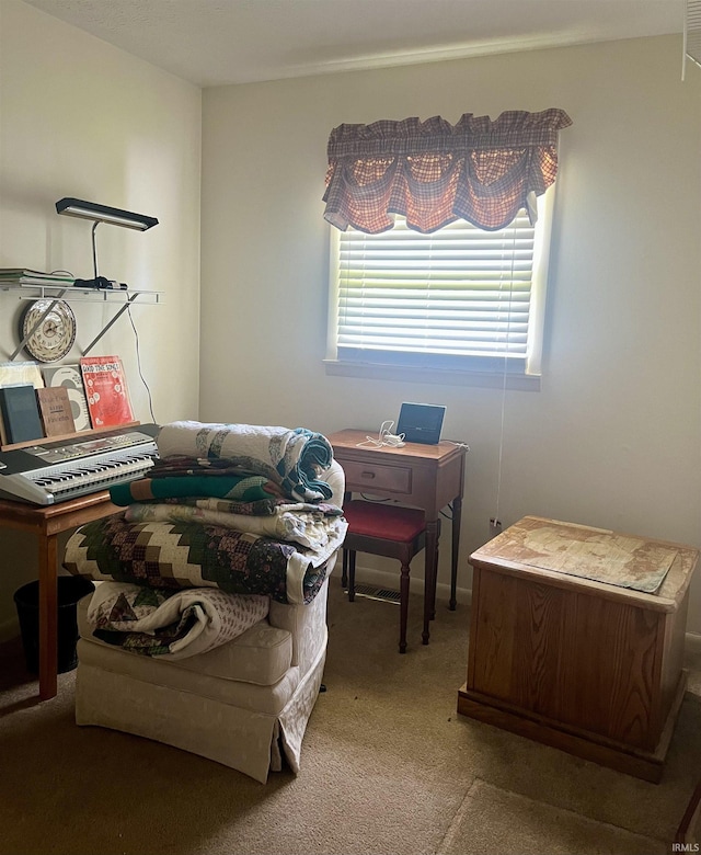 509 E Vincennes St, Orleans, IN 47452 - living area with carpet flooring