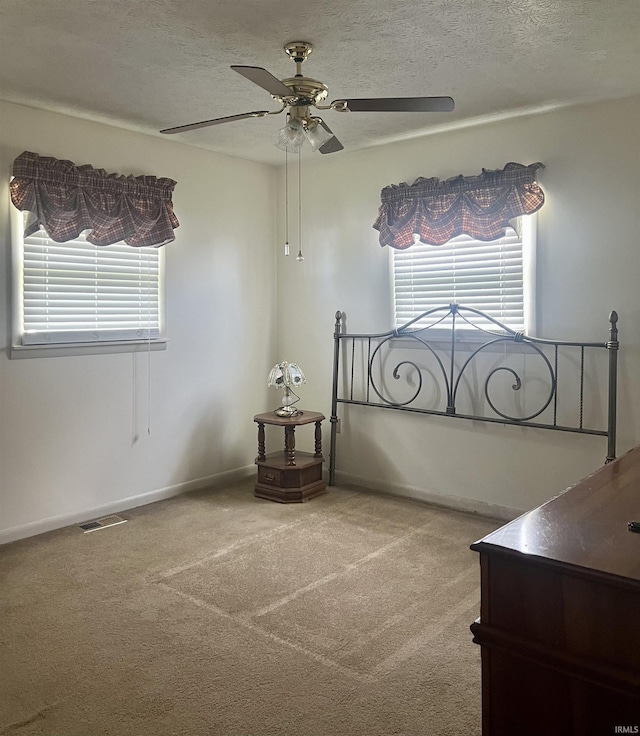 509 E Vincennes St, Orleans, IN 47452 - unfurnished bedroom with multiple windows, carpet flooring, a textured ceiling, ceiling fan, and baseboards