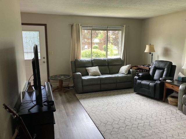 404 W Harrison Sts, Monticello, IN 47960 - living area with wood finished floors