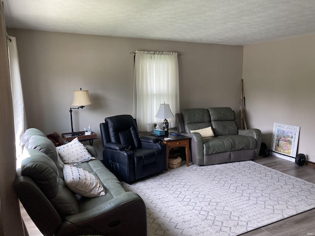404 W Harrison Sts, Monticello, IN 47960 - living area with wood finished floors and a textured ceiling