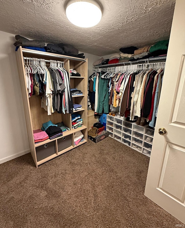 2146 N 20th St, Terre Haute, IN 47804 - walk in closet featuring carpet