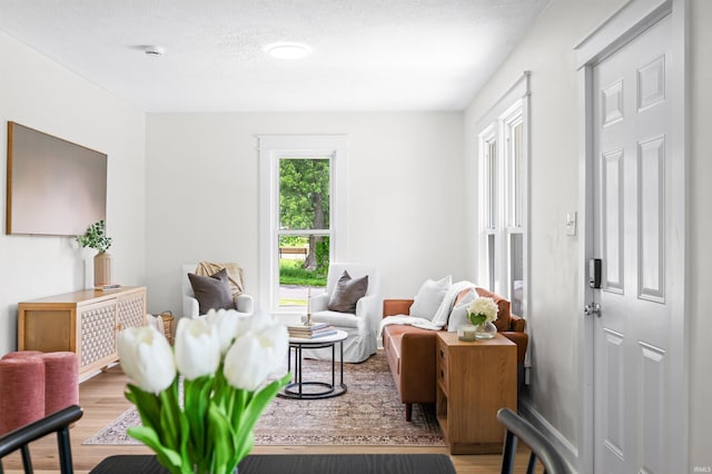 living area with light wood-type flooring and a textured ceiling