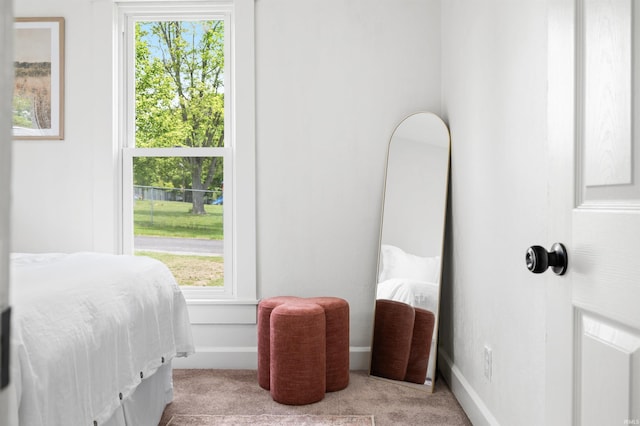 bedroom with carpet flooring and baseboards