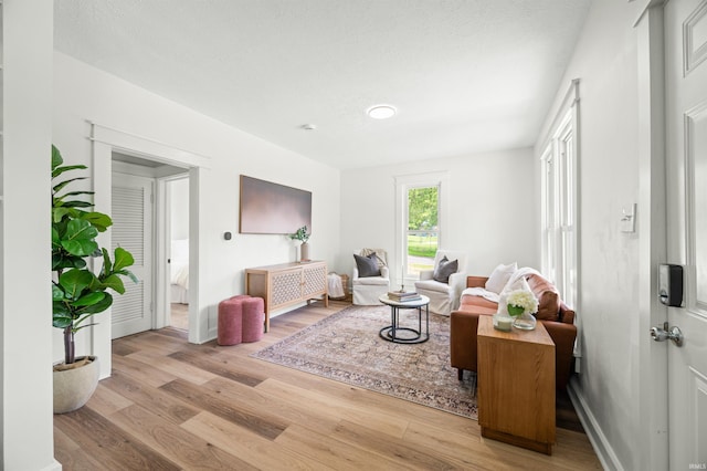 living room with wood finished floors