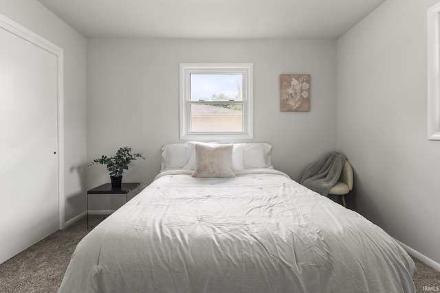 8020 Marston Dr, Fort Wayne, IN 46835 - bedroom with dark carpet, baseboards, and a closet