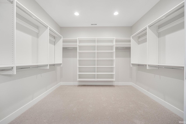 13335 Passerine Blvd, Fort Wayne, IN 46845 - walk in closet featuring light carpet
