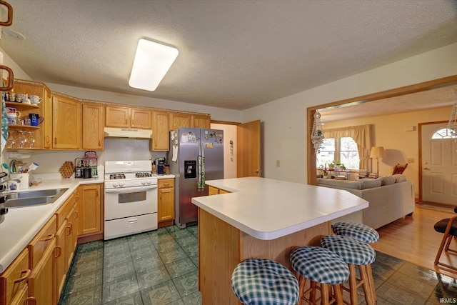 7373 Locust Lake Rd, Spencer, IN 47460 - kitchen featuring gas range gas stove, stainless steel fridge, under cabinet range hood, a kitchen island, and light countertops