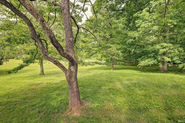 7373 Locust Lake Rd, Spencer, IN 47460 - view of grassy yard