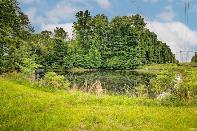 7373 Locust Lake Rd, Spencer, IN 47460 - view of nature