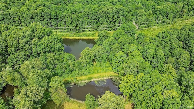 7373 Locust Lake Rd, Spencer, IN 47460 - aerial view of property's location with a nearby body of water and a heavily wooded area