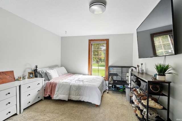 bedroom with multiple windows and light colored carpet