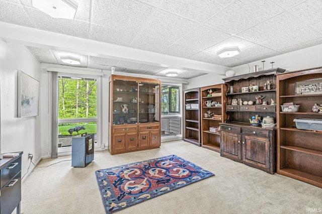 3455 Bridgetown Rd, Bristol, IN 46507 - office space with light carpet and a paneled ceiling