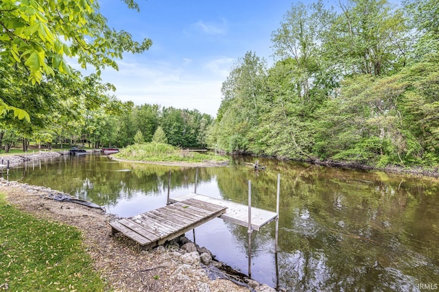 3455 Bridgetown Rd, Bristol, IN 46507 - dock featuring a water view and a view of trees