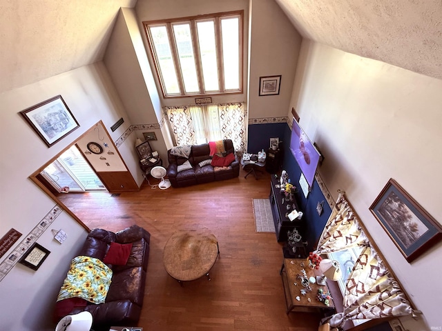 2855 N 525 W, Crawfordsville, IN 47933 - living area featuring lofted ceiling, wood finished floors, and a textured ceiling