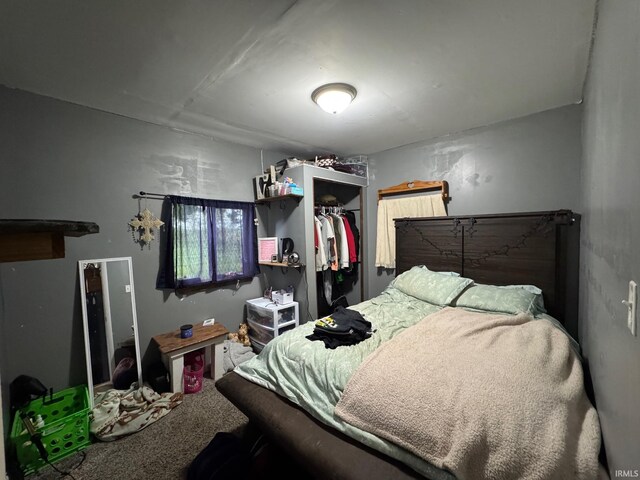 6008 N 600 E, Rochester, IN 46975 - carpeted bedroom with a closet