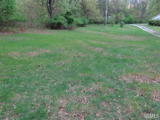 view of green lawn with a wooded view
