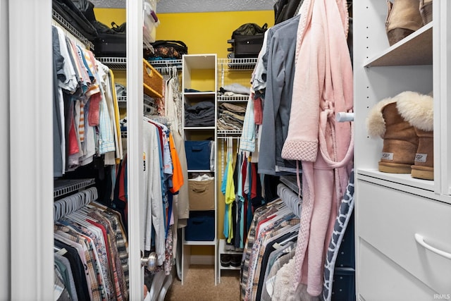 3934 Rushgrove Dr, Lafayette, IN 47909 - walk in closet featuring carpet flooring