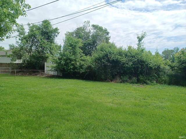 4020 N Fourth Ave, Evansville, IN 47711 - view of yard