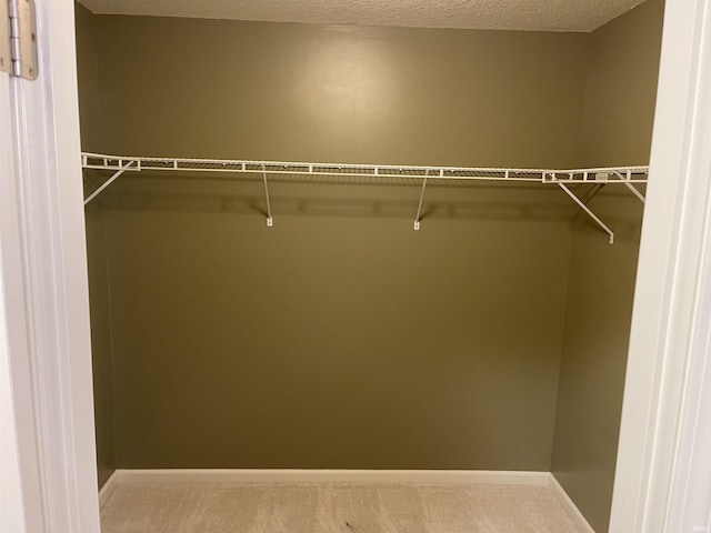 201 Riley Dr, Fort Wayne, IN 46825 - walk in closet featuring carpet floors