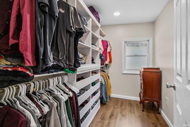 spacious closet featuring wood finished floors