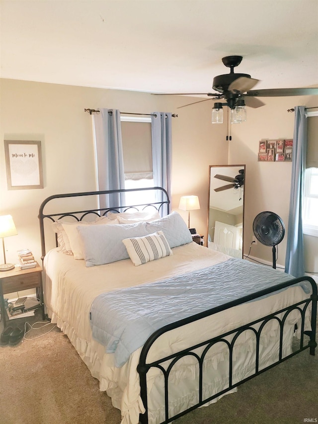 301 Raleigh Rd, Galveston, IN 46932 - view of carpeted bedroom