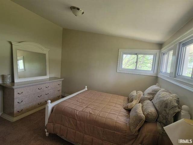 2347 E Navaho Dr, Vincennes, IN 47591 - bedroom with lofted ceiling and dark carpet