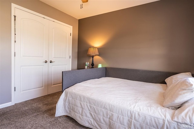 2014 Buell Dr, Angola, IN 46703 - carpeted bedroom with a closet