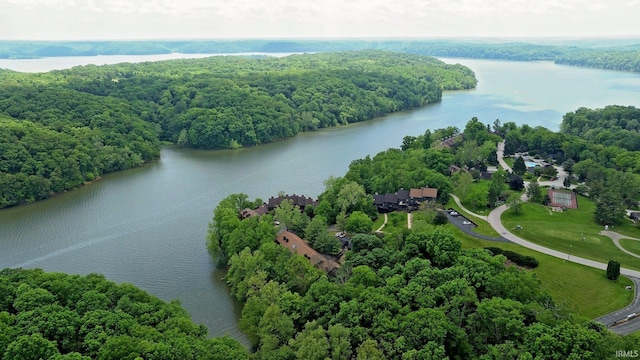 1881 E Eagle Bay Dr, Bloomington, IN 47401 - aerial view of a heavily wooded area and a nearby body of water
