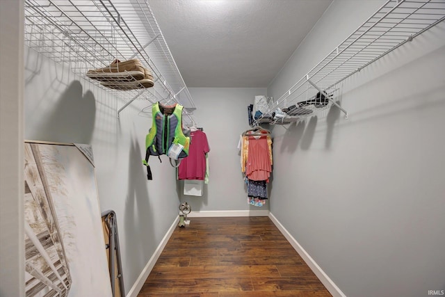 1881 E Eagle Bay Dr, Bloomington, IN 47401 - spacious closet with wood finished floors