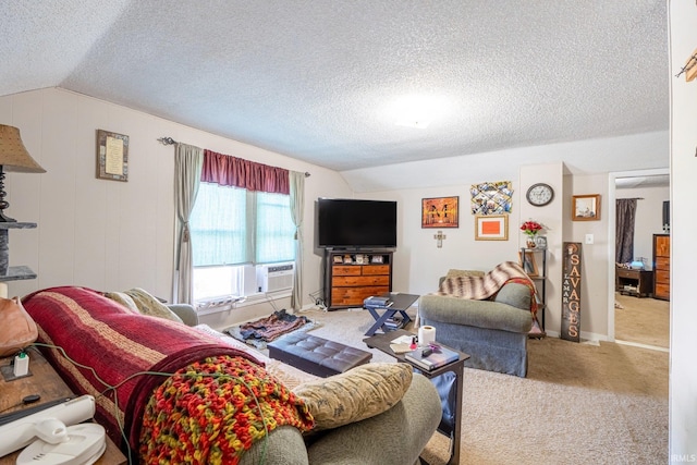 1437 Oakland St, Fort Wayne, IN 46808 - living area with lofted ceiling, carpet flooring, a textured ceiling, and baseboards
