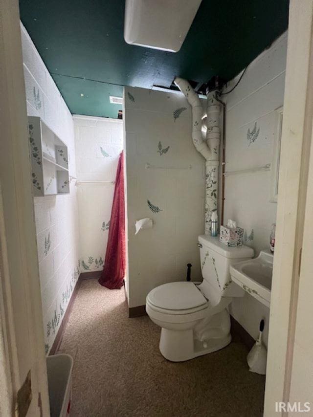 406 E Maple St, Attica, IN 47918 - bathroom with toilet