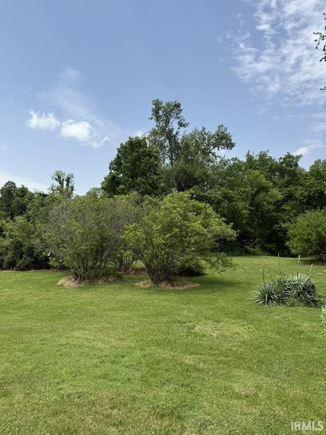 6311 N Camp Arthur Rd, Bruceville, IN 47516 - view of grassy yard