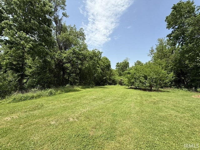 6311 N Camp Arthur Rd, Bruceville, IN 47516 - view of grassy yard featuring a forest view