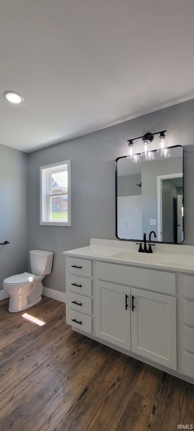 377 N 3rd St, Montgomery, IN 47558 - bathroom featuring wood finished floors, toilet, vanity, and recessed lighting